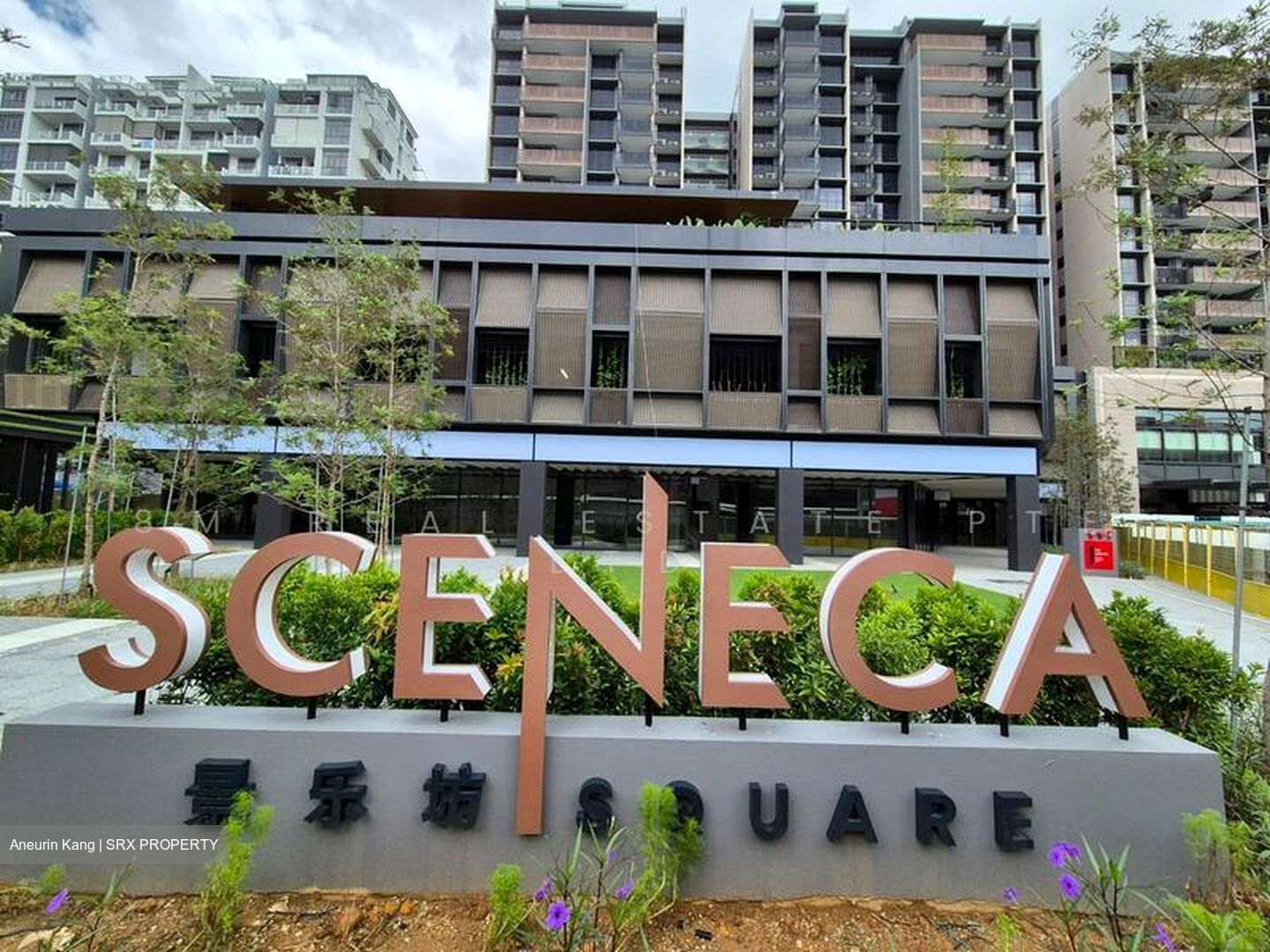 Sceneca Square (D16), Retail #620209911